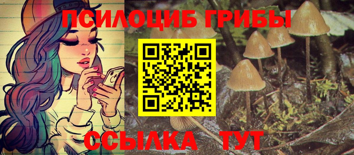 Псилоцибиновые грибы мицелий  Псилоцибиновые грибы GOLDEN TEACHER  Вход с VPN  Благовещенск 